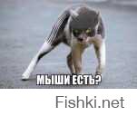 Серьезные животные