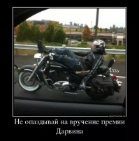 Безопасность превыше всего