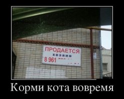Демотиваторы