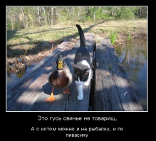 А где тут Гусь то???