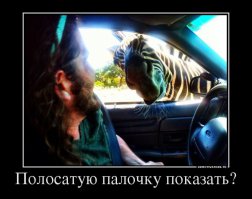 Демотиваторы про ГАИшников