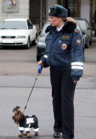 Демотиваторы про ГАИшников