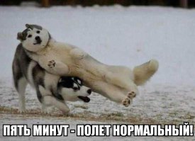Комментарии в картинках!