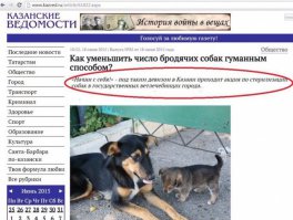 Не про котэ, но тоже жизненно.