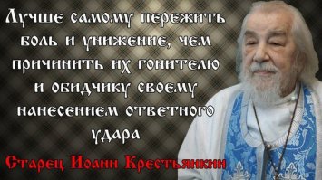 Политотка 7