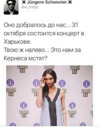 Политотка 7