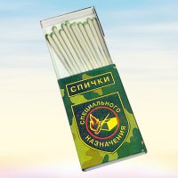Это был Шойгу со Спичками