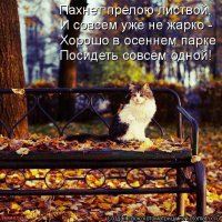 Яркие краски осени