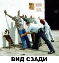 Картинки - демотиваторы про девушек