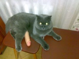 Показалось