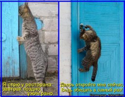 Им срочно нужно попасть внутрь