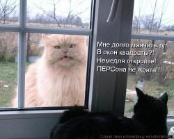Им срочно нужно попасть внутрь