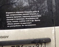 Прикольные надписи на авто