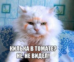 Ты не ты когда голоден