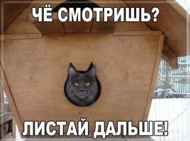 Приколы по Русски