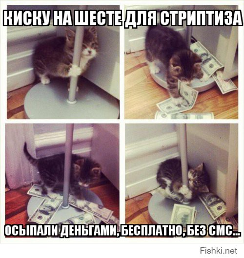Прикольные картинки обо всем на свете