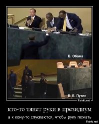 Политbra в картинках 9