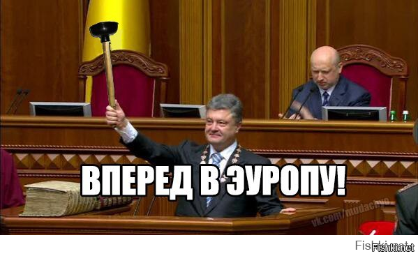 Политbra в картинках 9