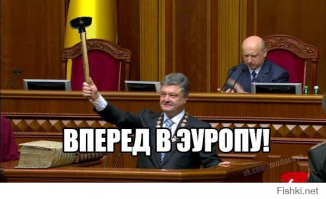 Политbra в картинках 9