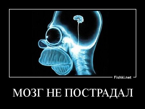 Старший брат во время ссоры воткнули младшему нож в лицо