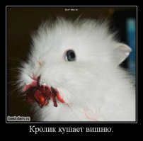 как без него?))