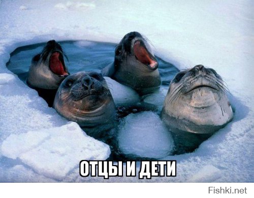 Прикольные картинки