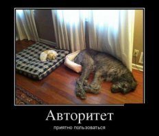 Махнулись не глядя!