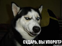 Эх Петя - Петя...
