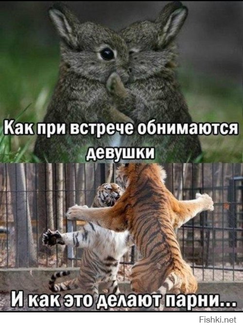 Прикольные картинки