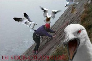 Голуби атаковали ГАЗель