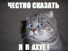 ИГИЛ ДЕБИЛ