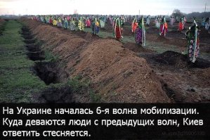 Порошенко, на колени перед своим народом надо встать!