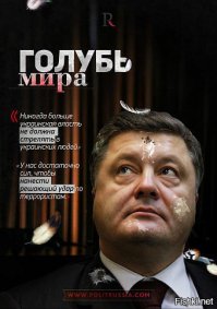 Порошенко, на колени перед своим народом надо встать!