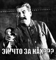 Внезапную популярность у пользователей рунета получил курдский военачальник Хусейн Язданпан