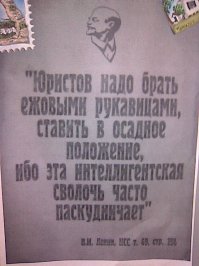 Пьяная адвокатесса дебоширит в отделении полиции. Зная законы и не такое можно