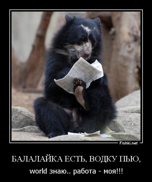 Чем еще заняться, если ты медведь?
