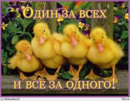 Киев. 22 ноября. ХОДА.