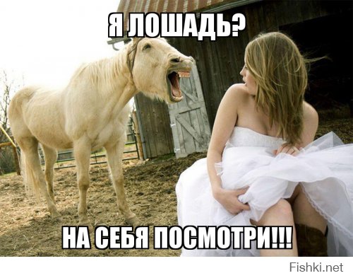 Фотоподборка