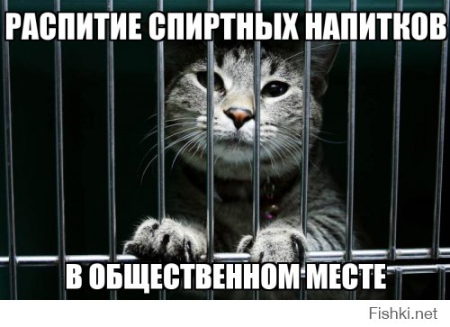 распитие спиртных напитков в общественном месте