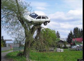 Вот мастер парковки.