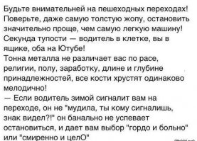 Бл.ядь и кому легче от того, что ты права!? Сука ну с детства же учат - поверни еб.ло налево направо и иди! Я таких тупорылых каждый день встречаю, а есть еще уникумы, которые втыкают в телефон и в наушниках! Водила само-собой виноват!