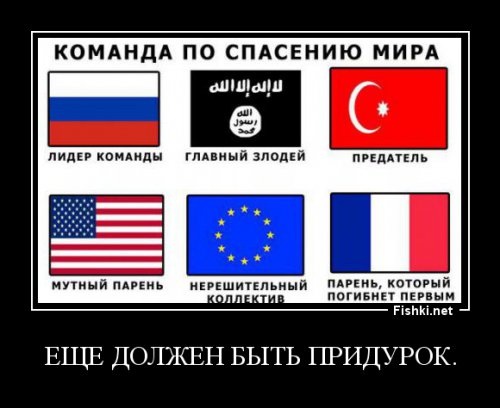 Политbra в картинках 12