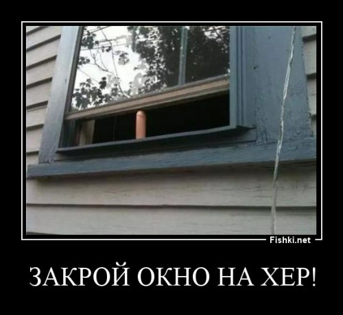 Позитивная подборка