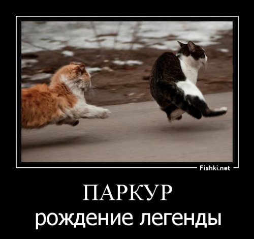 Позитивная подборка