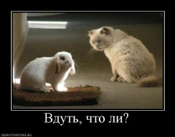 Позитивная подборка