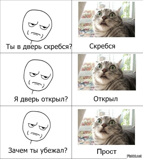 29ee9ead03781f064ff79a3a4d4be5c3.jpg