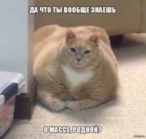 Если бы мы, были КОТЭ
