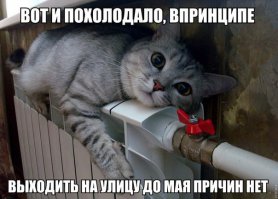 Начало зимы......просто фото
