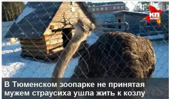 Подборочка картинок из сети