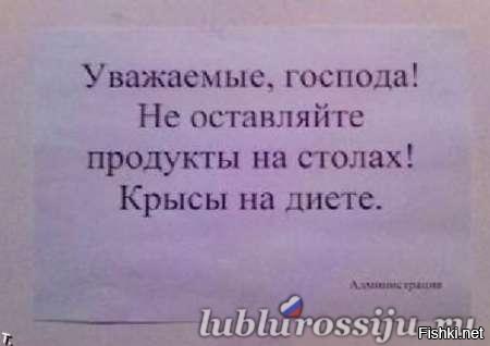 Смешные надписи и объявления